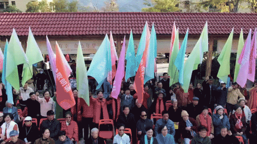 17649179565798005Gml.jpg 8.jpg