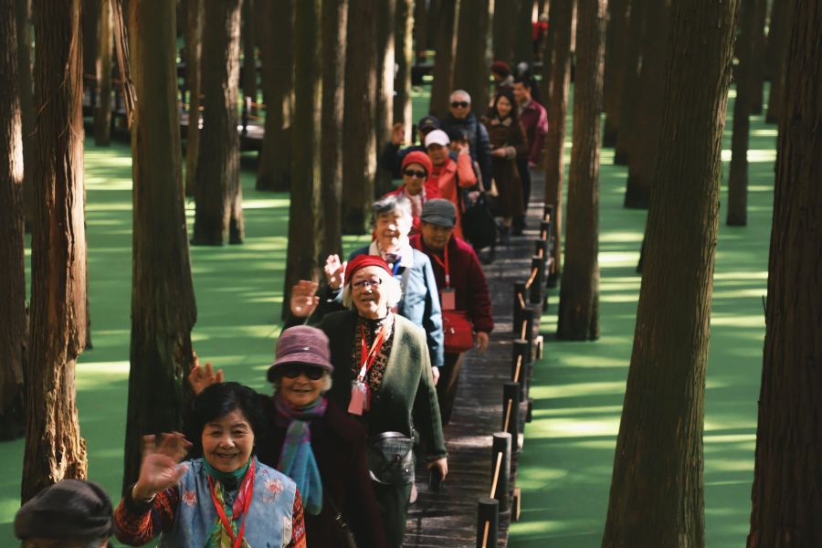 1765347556497950bs7x.jpg 1.jpg