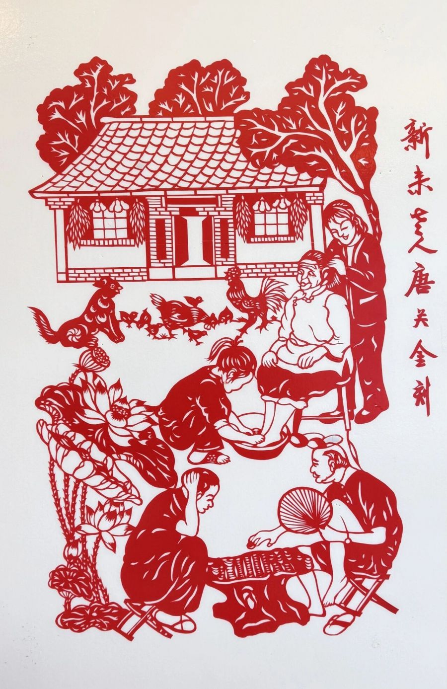 1765428136178054pANT.jpg 6.jpg