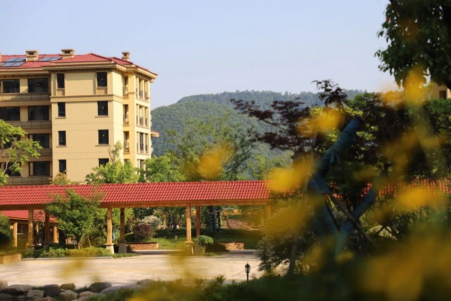 1766453469358381V4VM.jpg 2.jpg